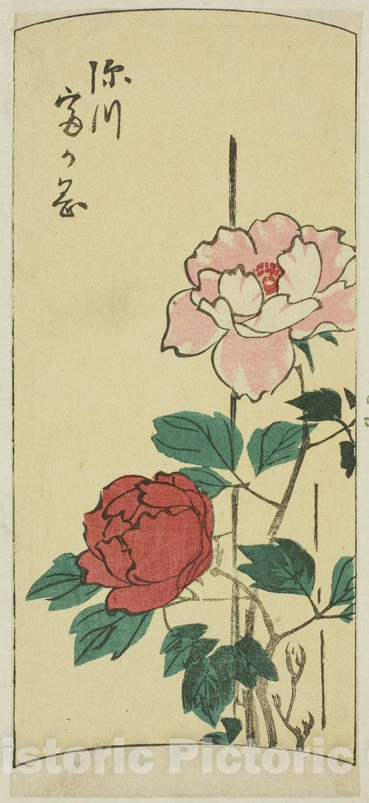 Art Print : Fukagawa Tomigaoka, section of a sheet from the series "Cutouts of Famous Places in Edo (Harimaze Koto meisho)", Utagawa Hiroshige, c 1852, Vintage Wall Decor :