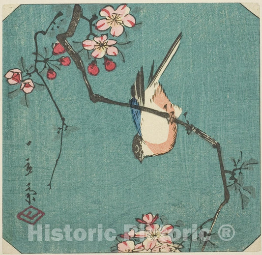 Art Print : Bullfinch, section of an untitled harimaze print, Utagawa Hiroshige, c 1840, Vintage Wall Decor :