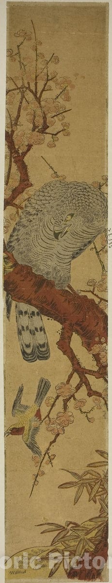 Dragable Image