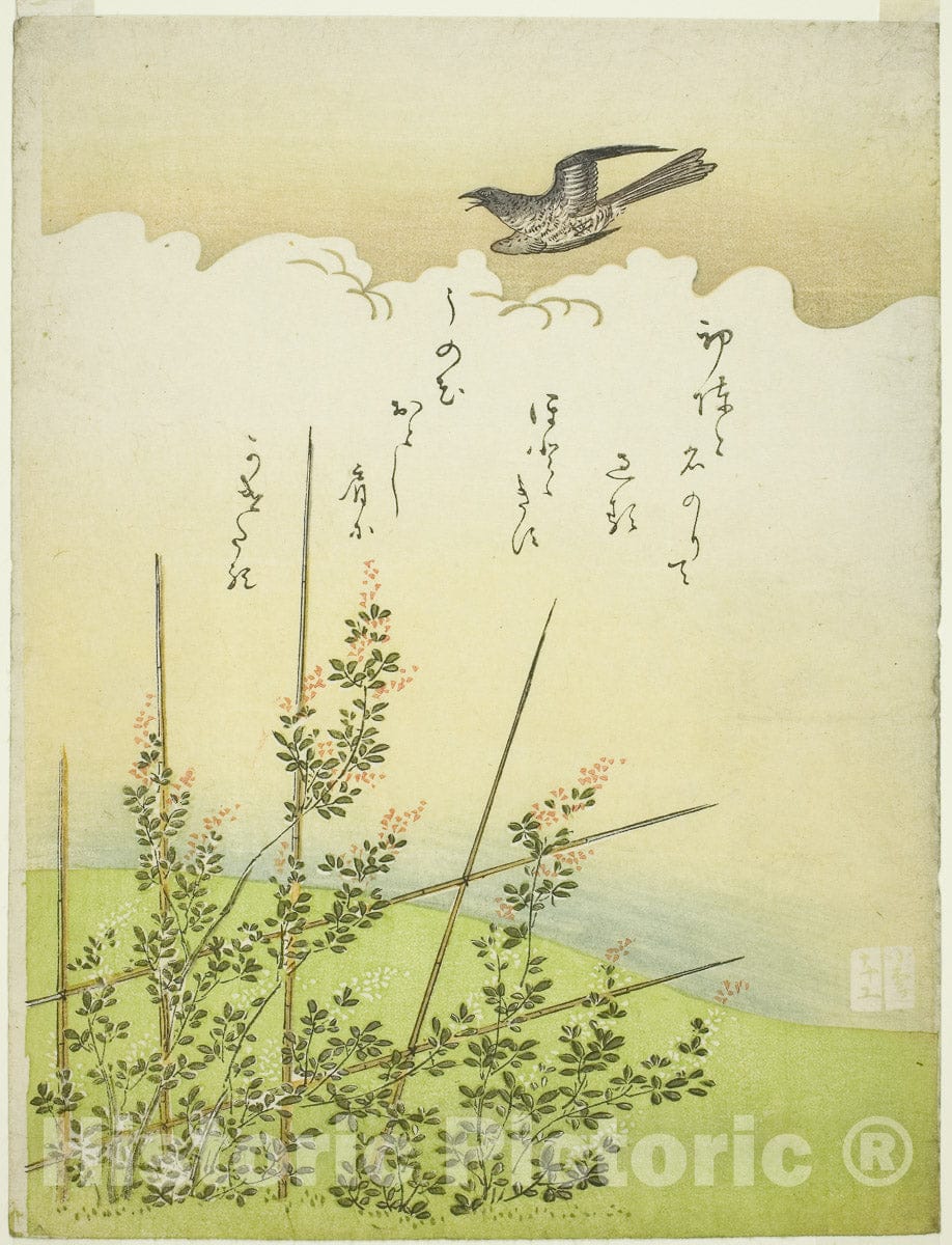 Art Print : Cuckoo flying over deutzia flowers, Komatsuya Hyakki, c 1766, Vintage Wall Decor :