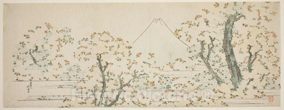 Art Print : Mount Fuji with Cherry Trees in Bloom, Katsushika Hokusai, c 1844, Vintage Wall Decor :