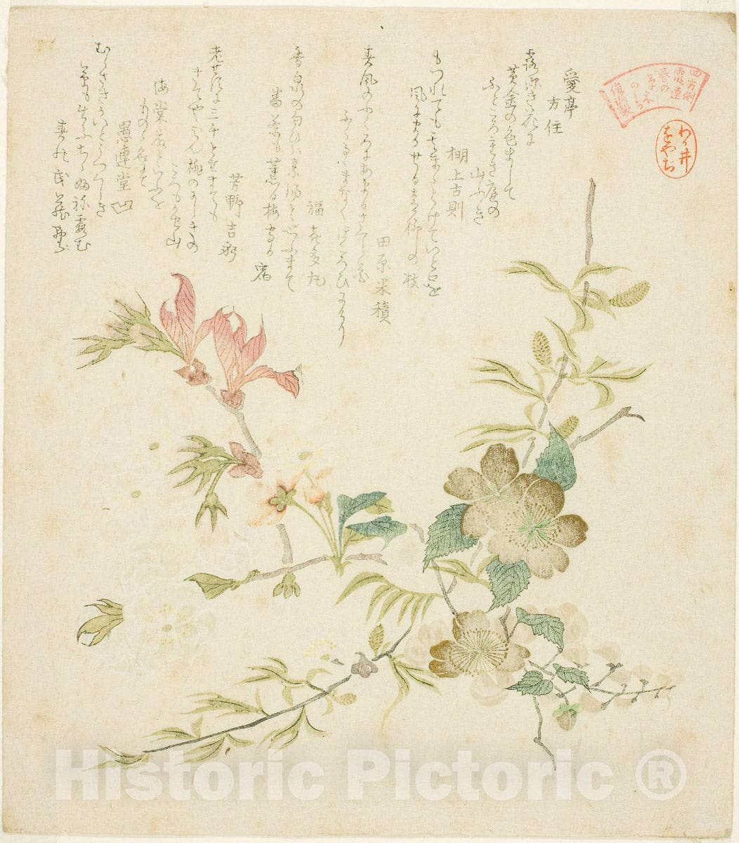 Art Print : Various Spring Flowers, from Springtime Plants and Trees  , Kubo Shunman, c 1821, Vintage Wall Decor :