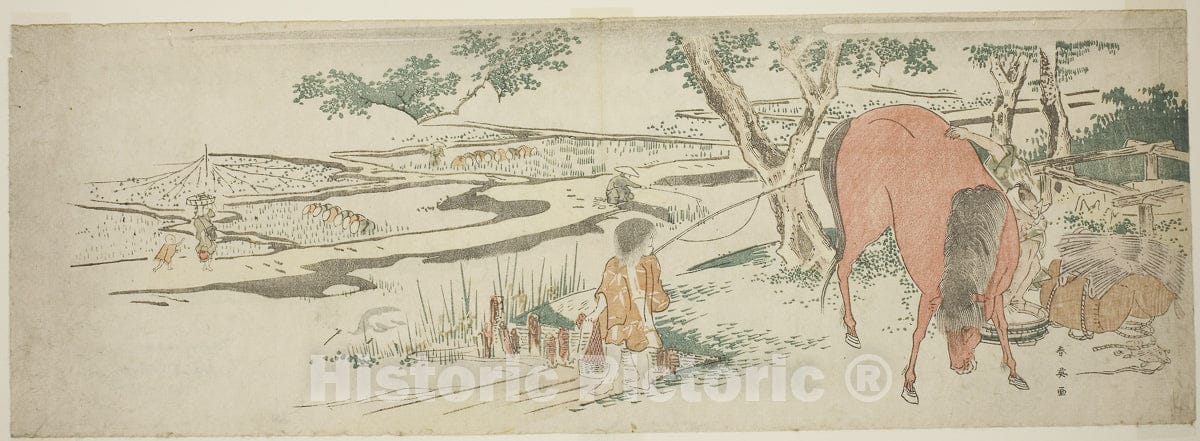Art Print : Rural Scene in Early Summer: Peasants Transplanting Rice and a Man Washing a Horse, Katsukawa Shun'ei, c 1795, Vintage Wall Decor :