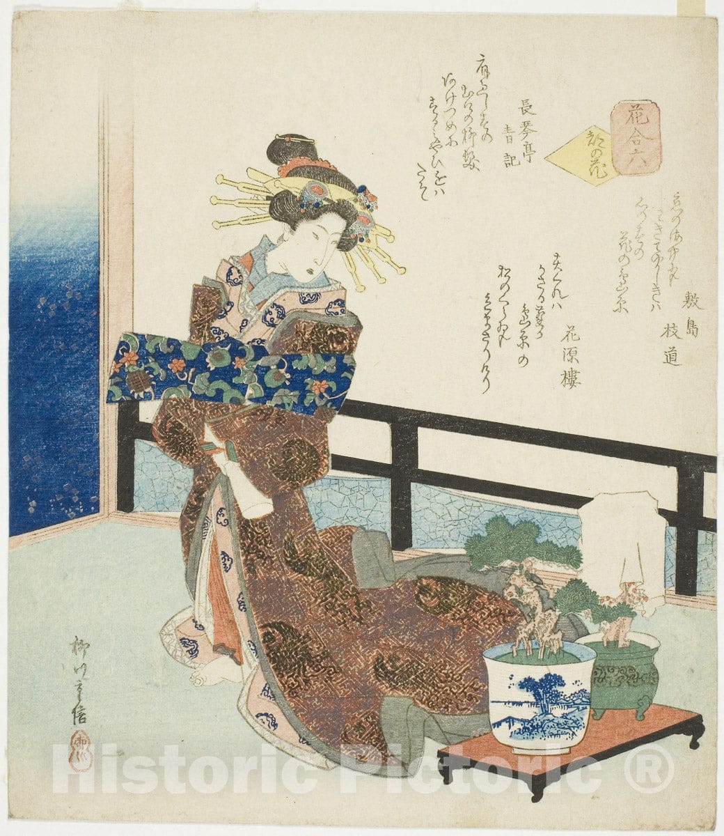Art Print : No. 6: Flower of the Capital (Miyako no hana), from the series "A Comparison of Flowers (Hana awase)", Yanagawa Shigenobu II, c 1821, Vintage Wall Decor :