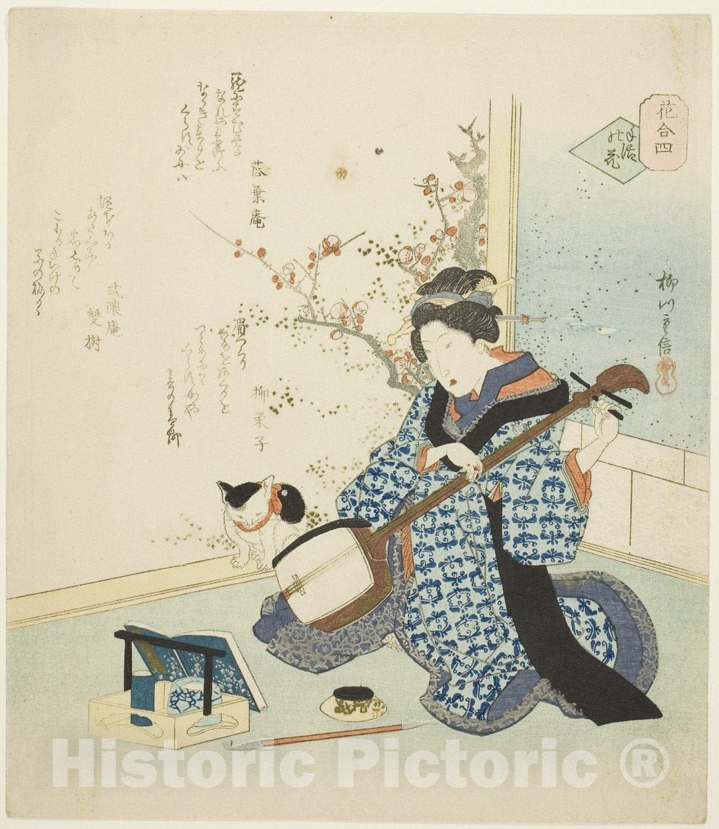Art Print : No. 4: Personally Arranged Flower (Teike no hana), from the series "A Comparison of Flowers (Hana awase)", Yanagawa Shigenobu II, c 1821, Vintage Wall Decor :