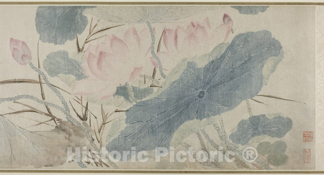 Art Print : Flowering Lotus, Chen Chun, c 1605, Vintage Wall Decor :