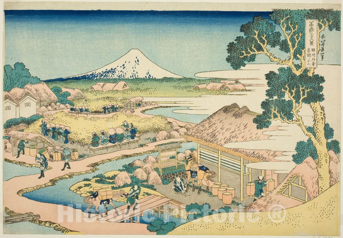 Art Print : The Tea Plantation of Katakura in Suruga Province (Sunshu Katakura chaen no Fuji), Katsushika Hokusai, c 1794, Vintage Wall Decor :