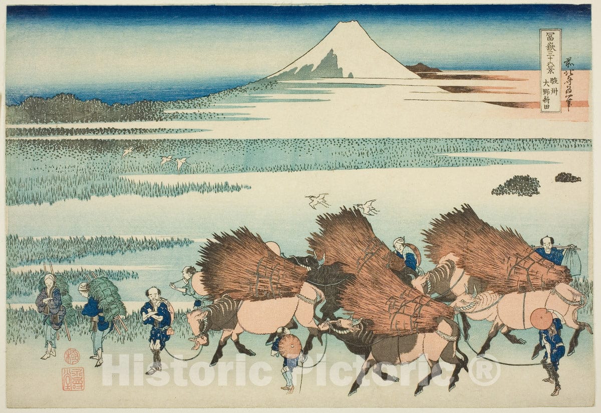 Art Print : Rice Paddies at Ono in Suruga Province , from Thirty-six Views of Mount Fuji , Katsushika Hokusai, c 1927, Vintage Wall Decor :