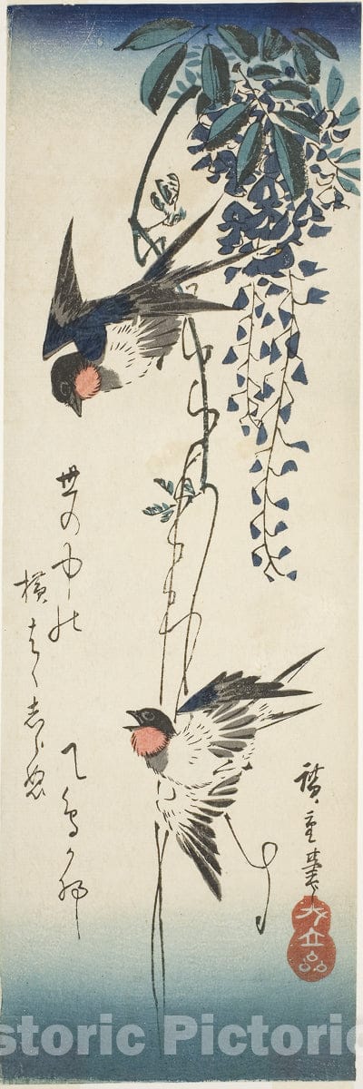 Art Print : Swallows and wisteria, Utagawa Hiroshige, c 1853, Vintage Wall Decor :