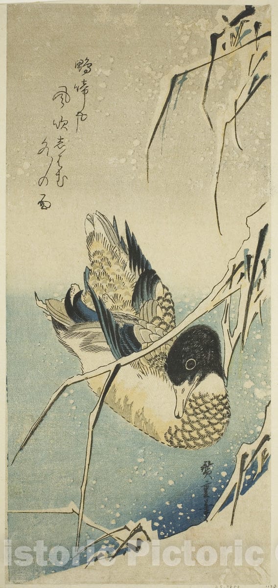 Art Print : Ducks in snow, Utagawa Hiroshige, c 1770, Vintage Wall Decor :