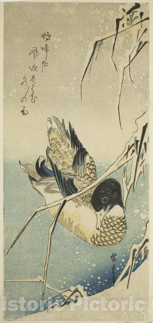 Art Print : Ducks in snow, Utagawa Hiroshige, c 1770, Vintage Wall Decor :