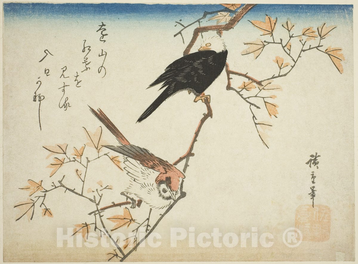 Art Print : Two birds on maple branch, Utagawa Hiroshige, c 1761, Vintage Wall Decor :