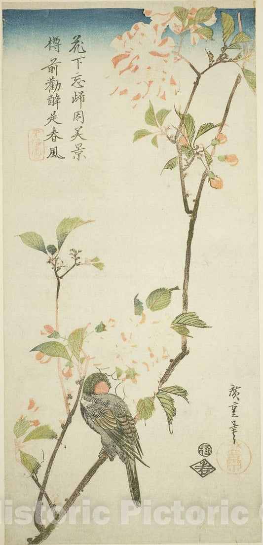 Art Print : Bullfinch on aronia branch, Utagawa Hiroshige, c 1770, Vintage Wall Decor :