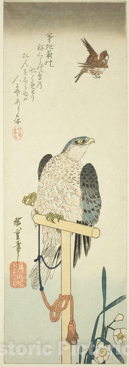 Art Print : Falcon, sparrow, and narcissus, Utagawa Hiroshige, c 1845, Vintage Wall Decor :