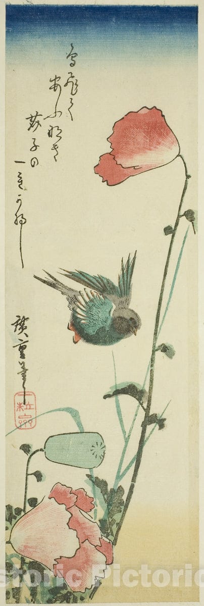 Art Print : Swallow and poppies, Utagawa Hiroshige, c 1840, Vintage Wall Decor :
