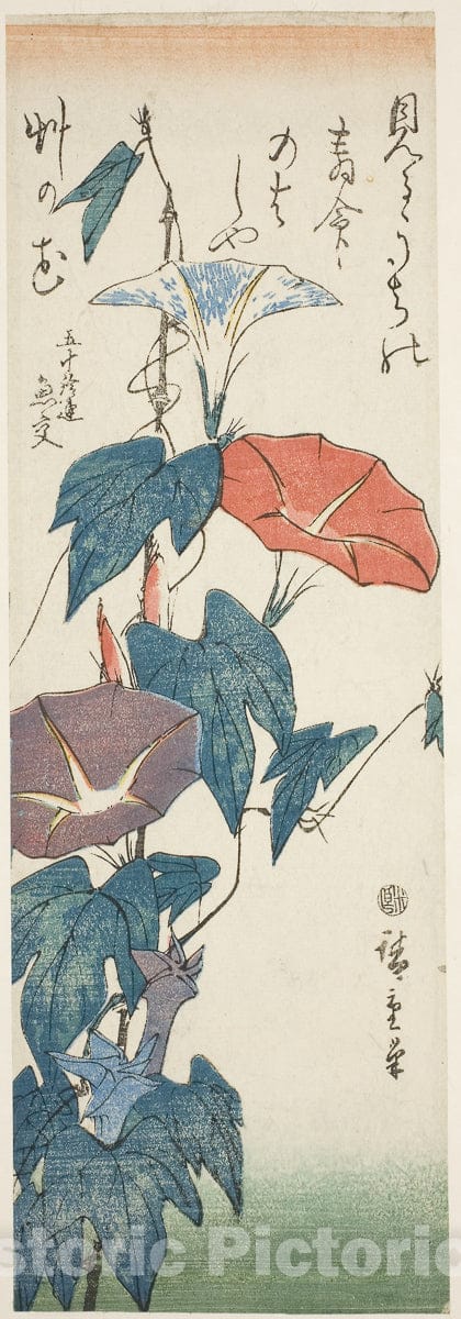 Art Print : Morning Glories, Utagawa Hiroshige, c 1840, Vintage Wall Decor :