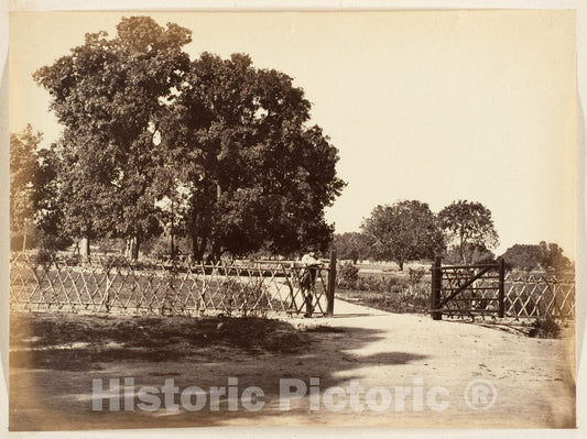 Photo Print : View of Garden : Vintage Wall Art