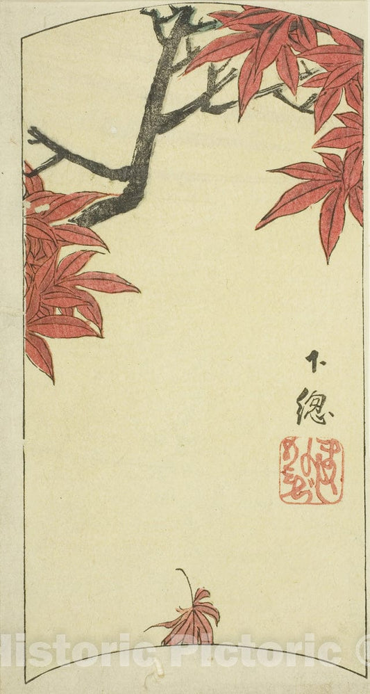Art Print : Maple Leaves in Shimosa Province (Shimosa, momiji), section of sheet no. seven , Utagawa Hiroshige, c 1852, Vintage Wall Decor :