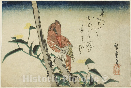 Art Print : Kingfisher and dayflower, Utagawa Hiroshige, c 1796, Vintage Wall Decor :
