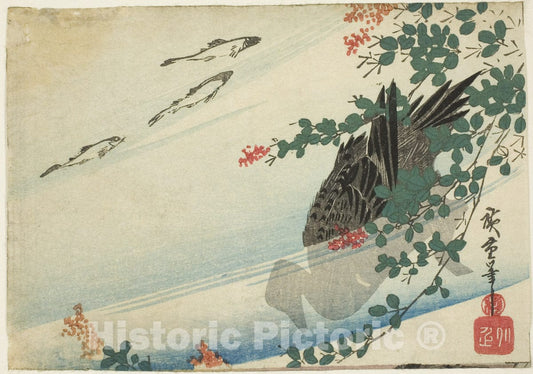 Art Print : Trouts, duck, and bush clover, Utagawa Hiroshige, c 1959, Vintage Wall Decor :