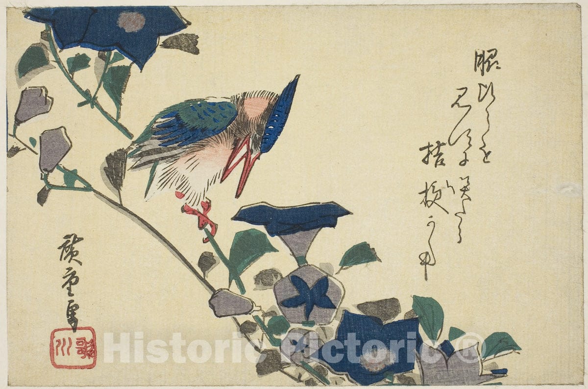 Art Print : Kingfisher and bellflowers, Utagawa Hiroshige, c 1960, Vintage Wall Decor :