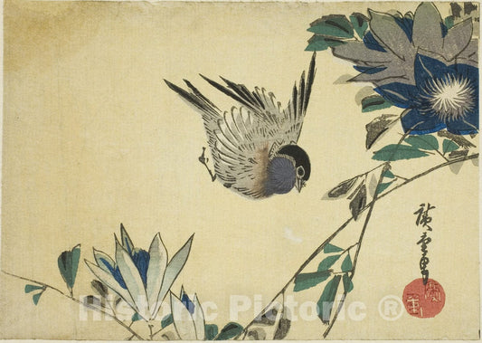 Art Print : Bullfinch and clematis, Utagawa Hiroshige, c 1821, Vintage Wall Decor :