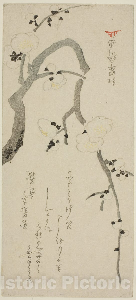 Art Print : Plum Branch, Kitao Shigemasa, c 1851, Vintage Wall Decor :