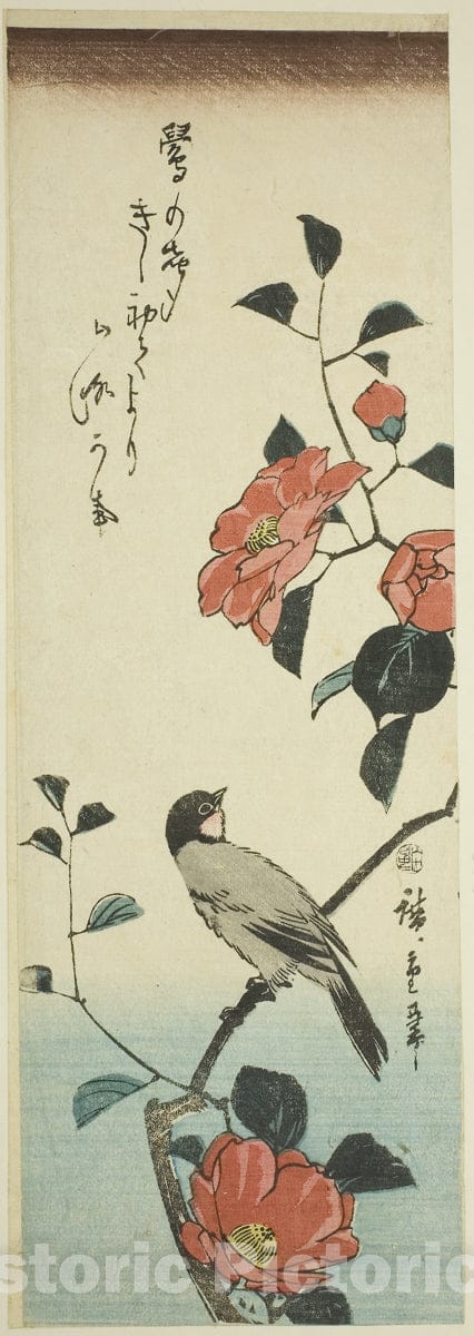 Art Print : Camellia flowers and bullfinch, Utagawa Hiroshige, c 1828, Vintage Wall Decor :