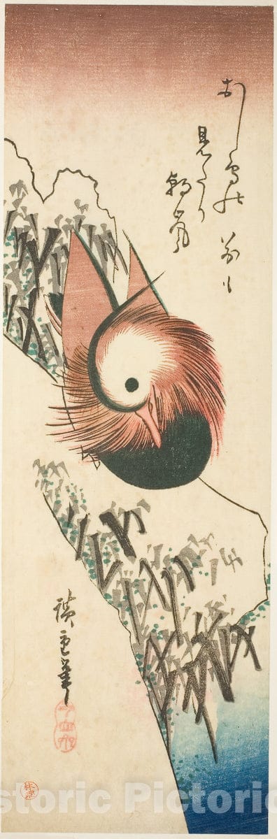Dragable Image