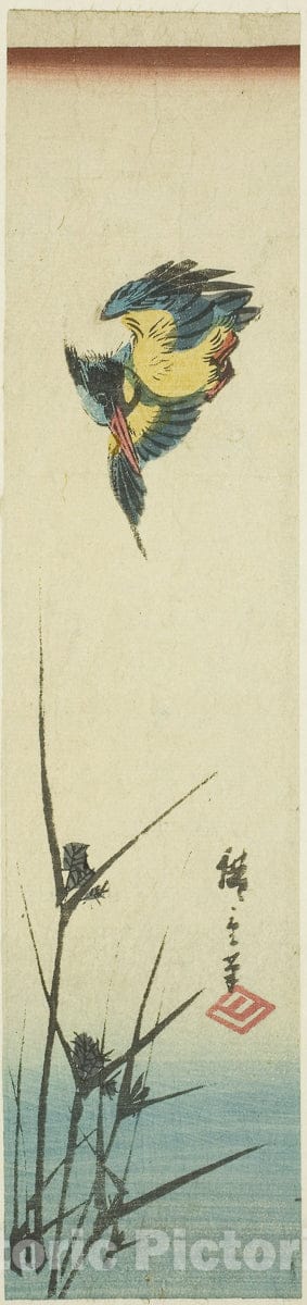 Art Print : Kingfisher and reeds, Utagawa Hiroshige, c 1851, Vintage Wall Decor :