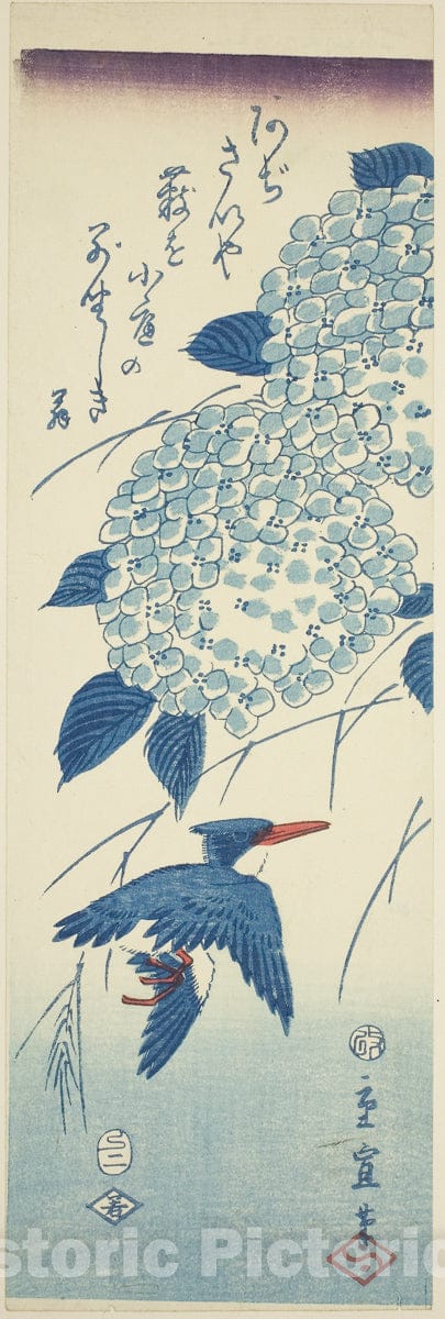 Art Print : Kingfisher and hydrangea, Utagawa Hiroshige II (Shigenobu), c 1776, Vintage Wall Decor :