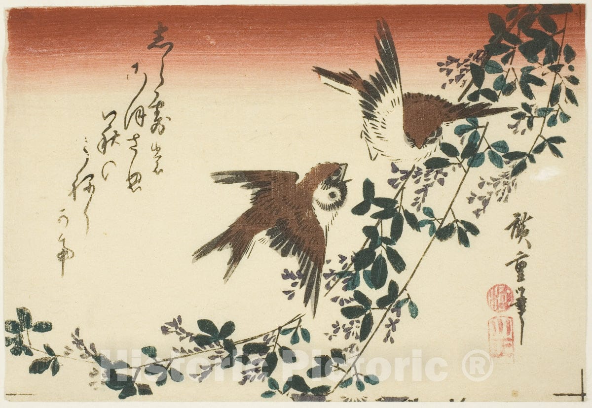 Art Print : Sparrows and bush clover, Utagawa Hiroshige, c 1943, Vintage Wall Decor :
