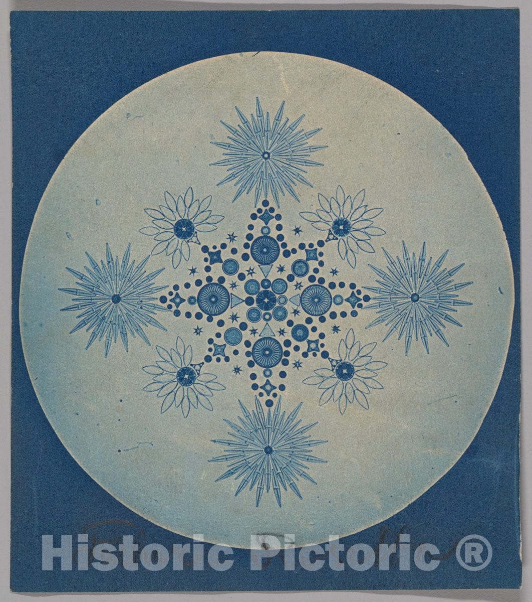 Art Print : Julius Wiesner - Frustules of Diatoms : Vintage Wall Art