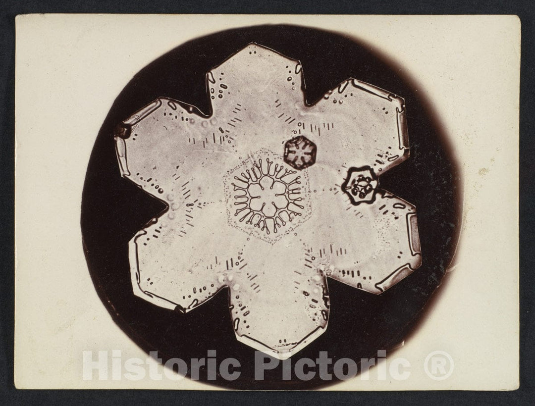 Photo Print : Wilson Alwyn Bentley - Snow Crystal 27 : Vintage Wall Art