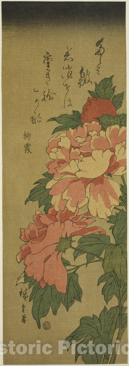 Art Print : Peonies, Utagawa Hiroshige, c 1776, Vintage Wall Decor :