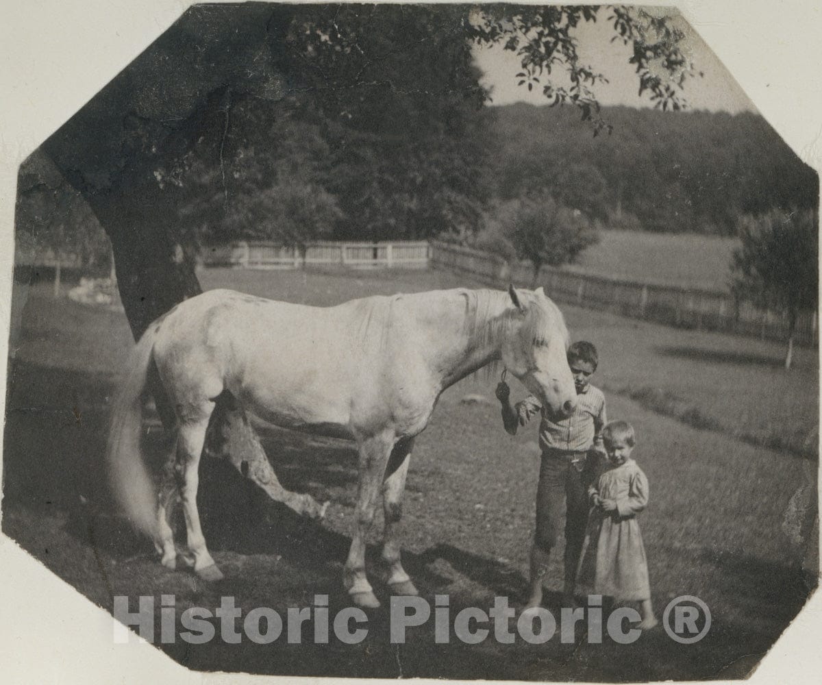 Photo Print : Thomas Eakins - Thomas Eakins's Horse Billy and Two Crowell Children at Avondale, Pennsylvania : Vintage Wall Art