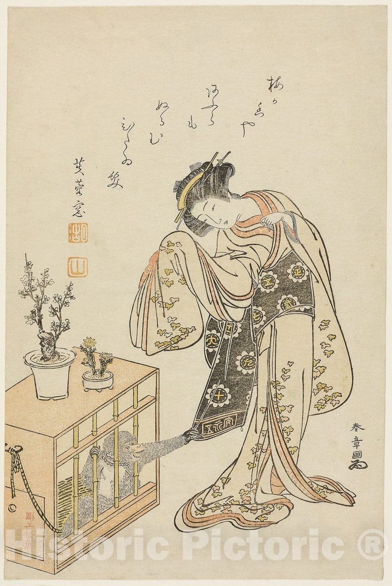 Art Print : Young Woman with a Caged Monkey (Calendar Print for New Year 1776), Katsukawa Shunsho, c 1775, Vintage Wall Decor :