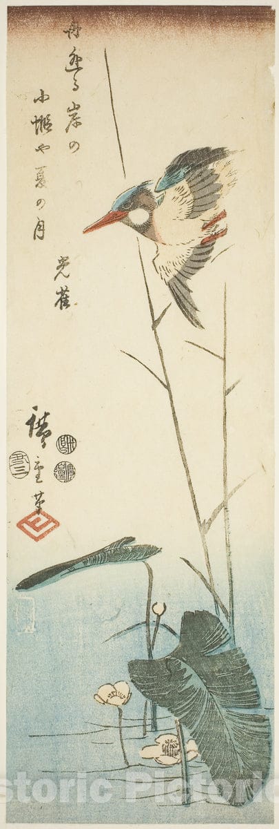 Art Print : Kingfisher above a Yellow-flowered Water Plant, Utagawa Hiroshige, c 1861, Vintage Wall Decor :