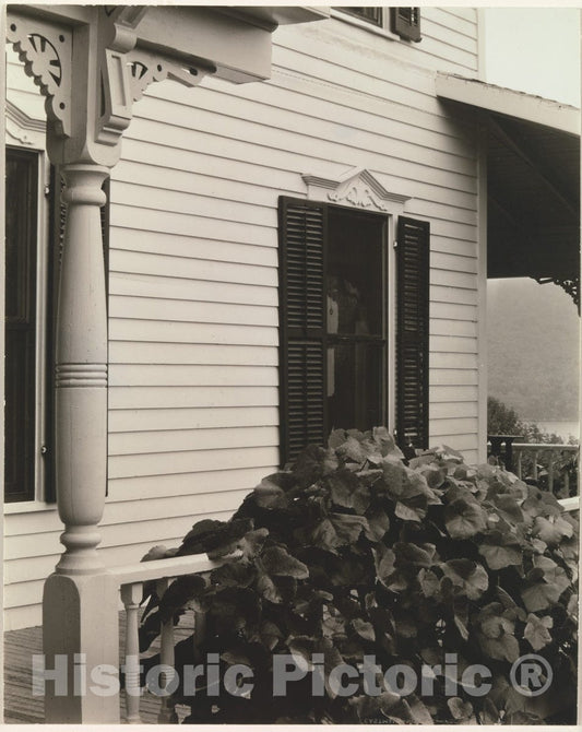 Photo Print : Alfred Stieglitz - House and Grape Leaves : Vintage Wall Art