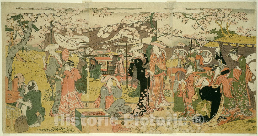 Art Print : Cherry Blossom Banquet (Oka no utage), Kitagawa Utamaro, c 1894, Vintage Wall Decor :