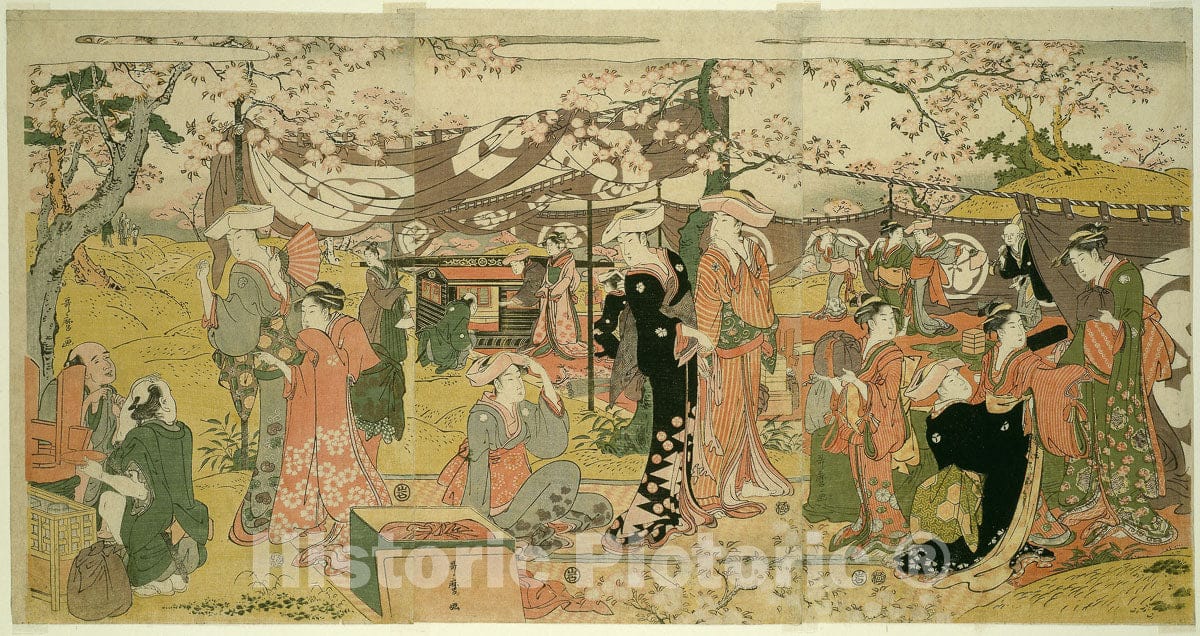 Art Print : Cherry Blossom Banquet (Oka no utage), Kitagawa Utamaro, c 1894, Vintage Wall Decor :
