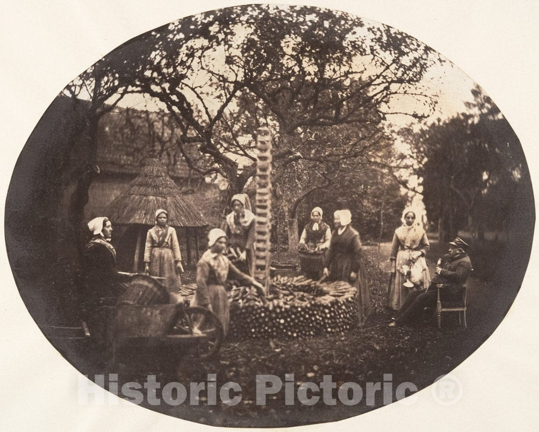 Photo Print : Louis-Pierre-Théophile Dubois de Nehaut - Women Stacking Carrots : Vintage Wall Art