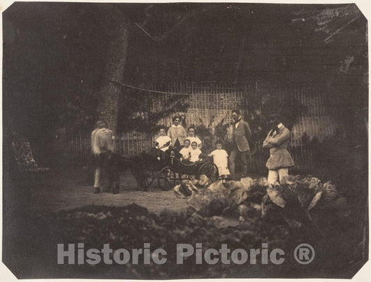 Photo Print : Jardin zoologique de Bruxelles