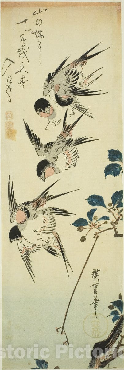 Art Print : Swallows and flowering branch, Utagawa Hiroshige, c 1776, Vintage Wall Decor :