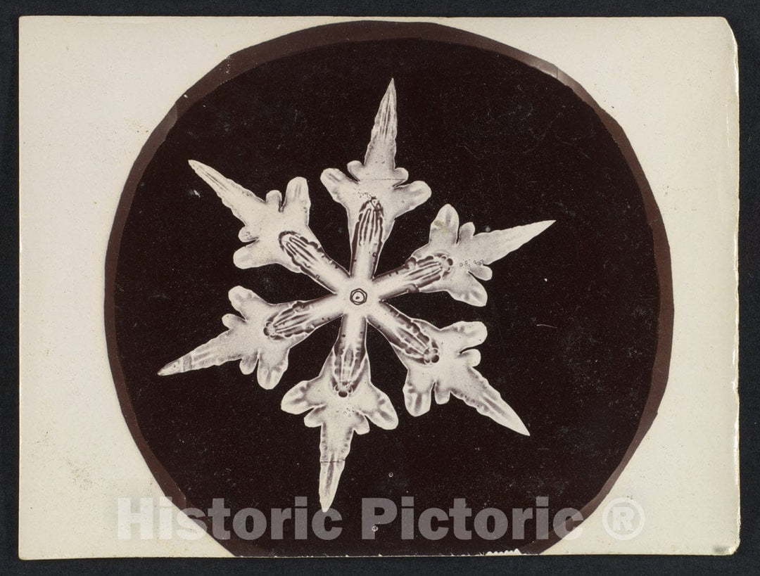 Photo Print : Wilson Alwyn Bentley - Snow Crystal 28 : Vintage Wall Art