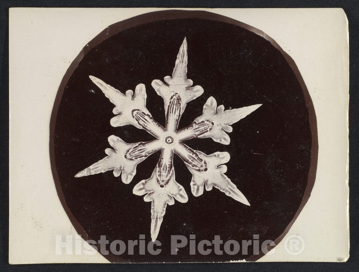 Photo Print : Wilson Alwyn Bentley - Snow Crystal 28 : Vintage Wall Art