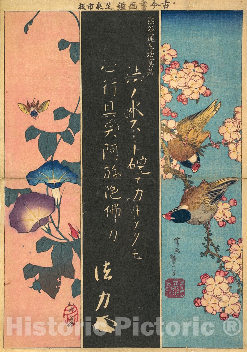 Art Print : Katsushika Hokusai - Bird-and-Flower Paintings : Vintage Wall Art