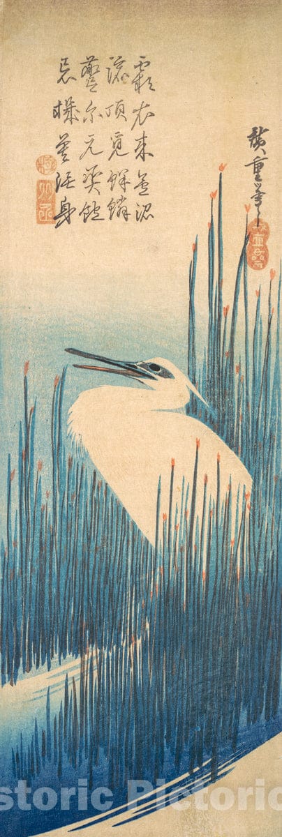 Art Print : Utagawa Hiroshige - White Heron Standing among Reeds : Vintage Wall Art