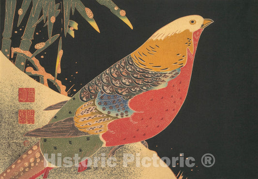 Art Print : It? Jakuch? - Golden Pheasant in the Snow : Vintage Wall Art