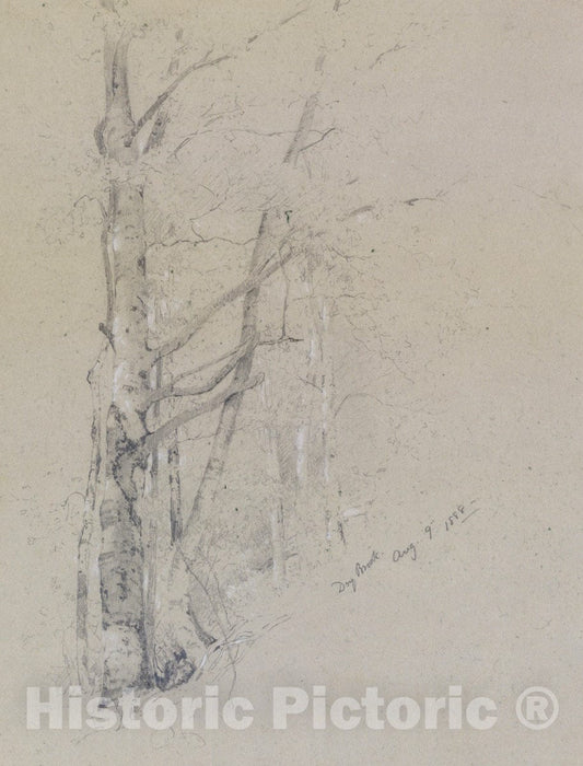 Art Print : Jervis McEntee - Dry Brook : Vintage Wall Art